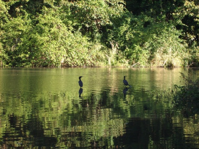 102 Revista Sexy com bumbum 2