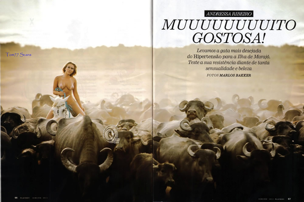 328 Revista Playboy  2011 01 Andressa Ribeirofoto 03