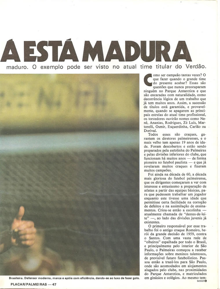 ANO 1979 MAIORES TORCIDAS DO BRASIL PALMEIRAS  Pagina 48