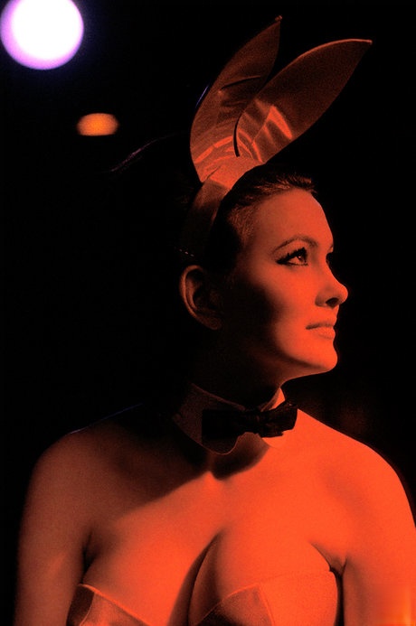 Adoráveis playboy coelhinhas dos anos 60 posando e provocando com seus busto